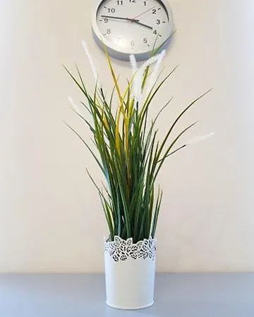 Cozy Modern Astoria Magic Grey Old Town