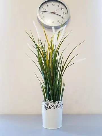 Cozy Modern Astoria Magic Grey Old Town