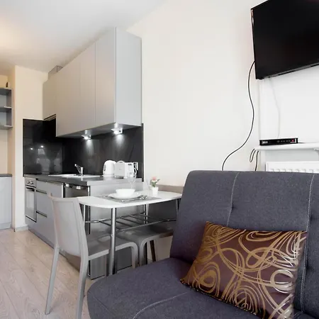Cozy Modern Astoria Magic Grey Old Town Daire Krakow